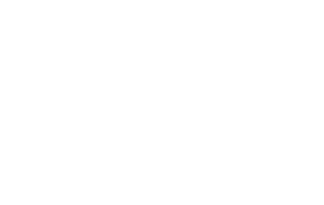 AA Financial Services logo